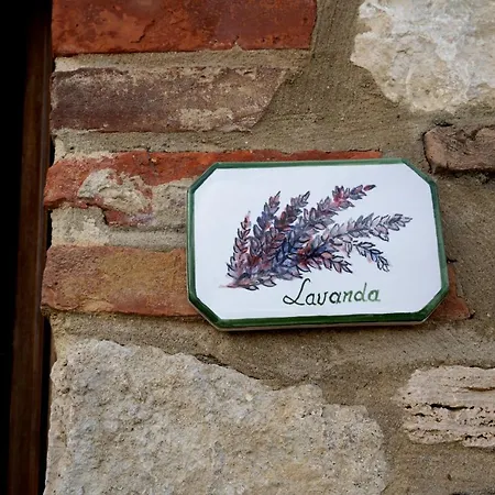 Holiday home Podere Fossaccio - Casa Lavanda Asciano